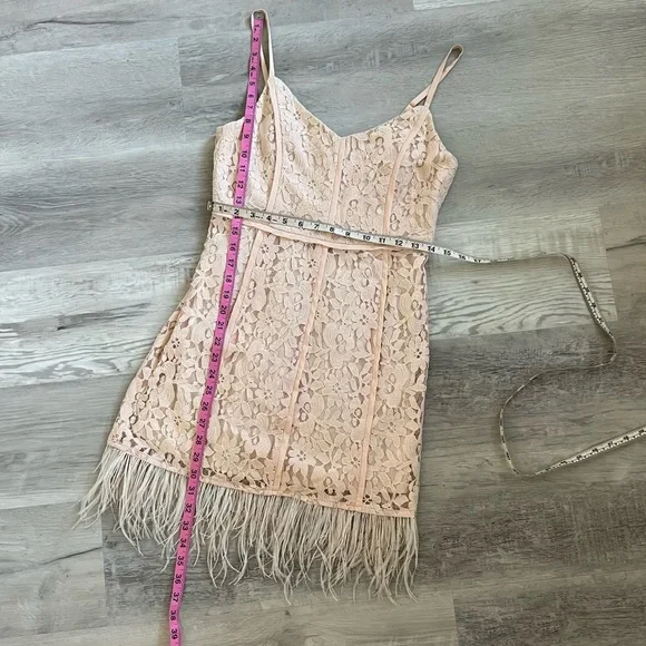 NWT GB Lace Feather Trim dress